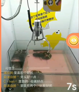 抓龙虾APP开发 跑不掉的小龙虾 抓龙虾APP开发 跑不掉的小龙虾