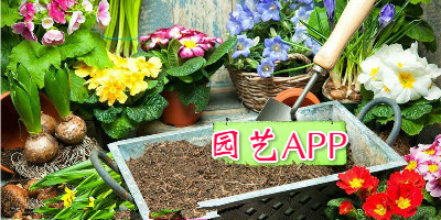 园艺app开发 做个园艺家