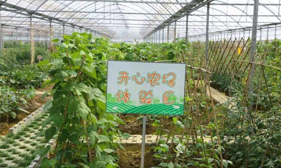 农场管理APP-广州app开发公司酷蜂科技