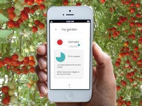 种菜app软件开发 助农民精准种菜
