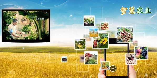 区块链农业软件开发促进农业发展
