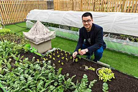 直播种菜app开发