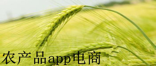 农产品电商app开发