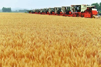 小麦收割预约APP开发
