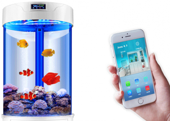 智能鱼缸APP开发给养鱼一族提供便利-广州app外包公司酷蜂科技