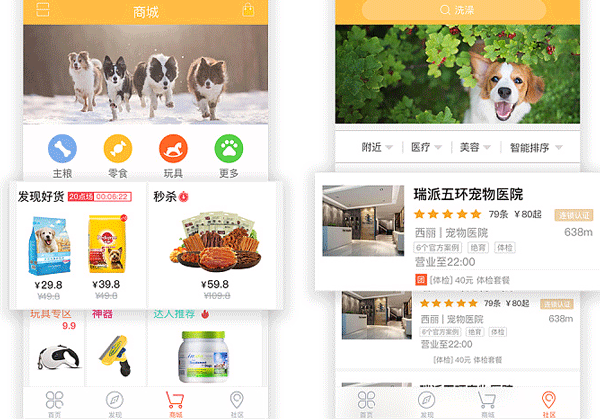 宠物服务APP开发 养宠更自如--广州软件制作公司酷蜂科技