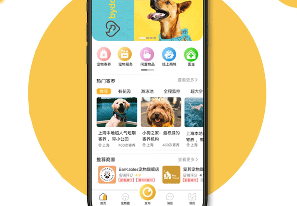 养宠app软件开发 宠友互助没压力--app应用公司广州酷蜂科技