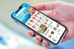 线上卖菜app开发外包给用户提供新鲜的蔬菜及肉类