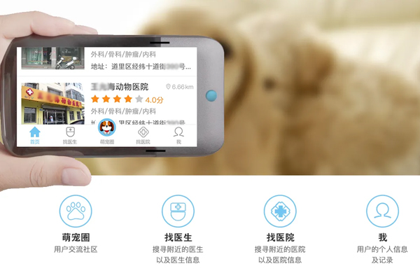 开发宠物助手移动应用满足养宠需求--app开发公司广州酷蜂科技