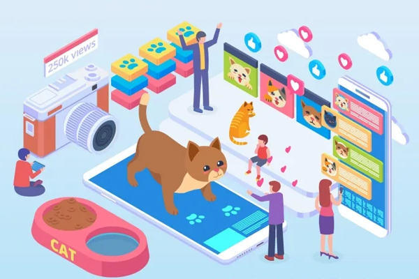 宠物交流手机软件研发 学习养宠攻略关注宠物健康--app开发广州酷蜂科技