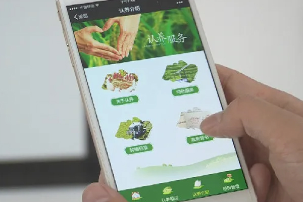 农业认养小程序开发制作满足产业升级需求--广州app开发酷蜂科技