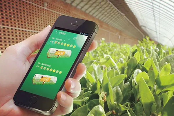 有机农产品app软件定制让用户买到新鲜有机的果蔬--广州软件制作酷蜂科技
